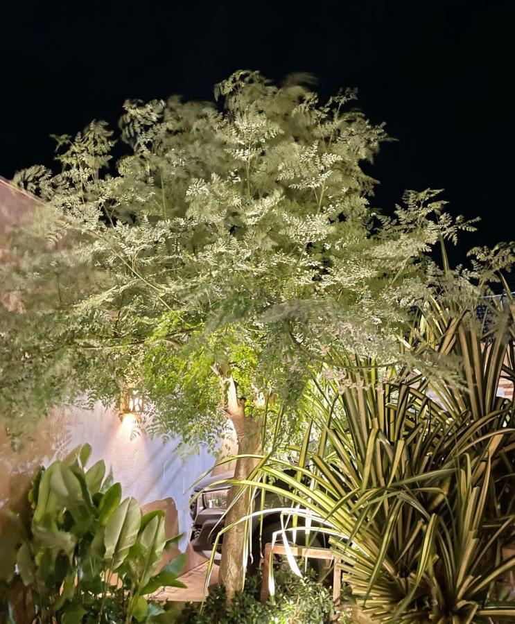 Recanto Maria Flor Флешейрас Экстерьер фото